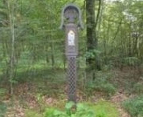 Heilige Eiche