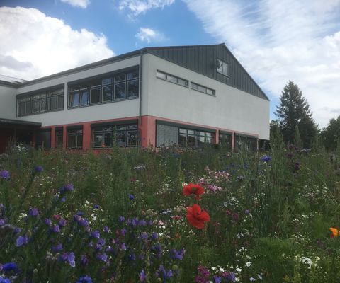 Blumenwiese
