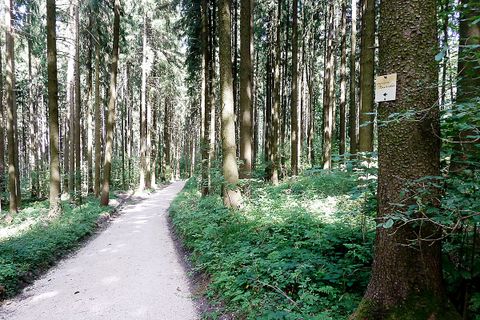 Schöpfungsweg