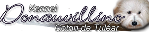 Logo Firma Donauvillino